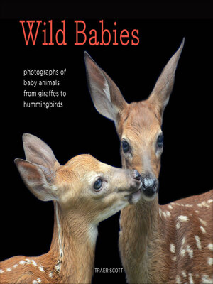 cover image of Wild Babies